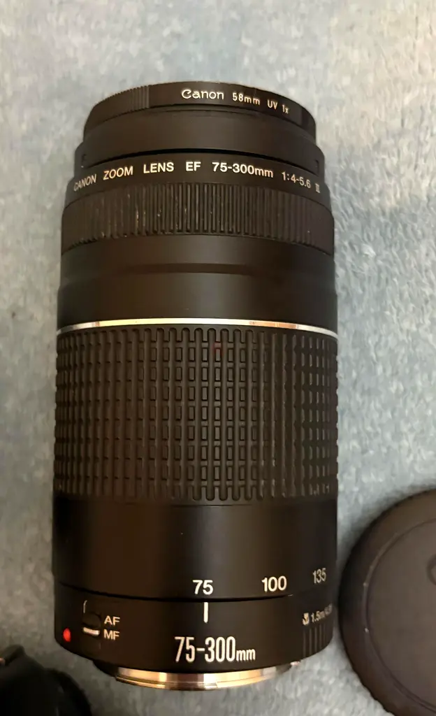 Canon 5d camera63233635730817115