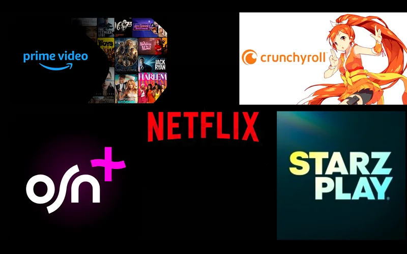 Premium streaming subscriptions632640676240651127