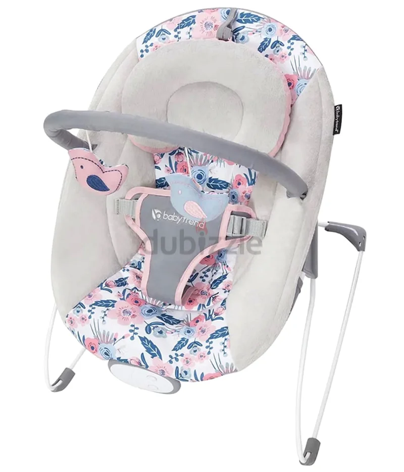 Bounce chair, rocker63177957067650112