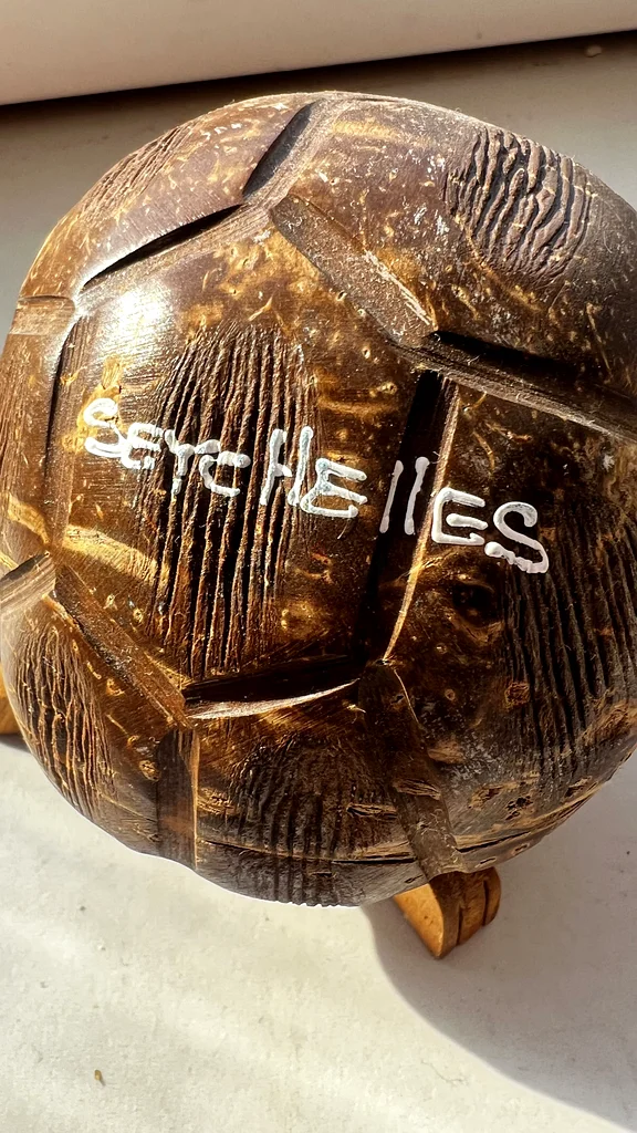 Unique Coconut Turtle Décor from Seychelles – Perfect for Organic Home Style63222339306371112
