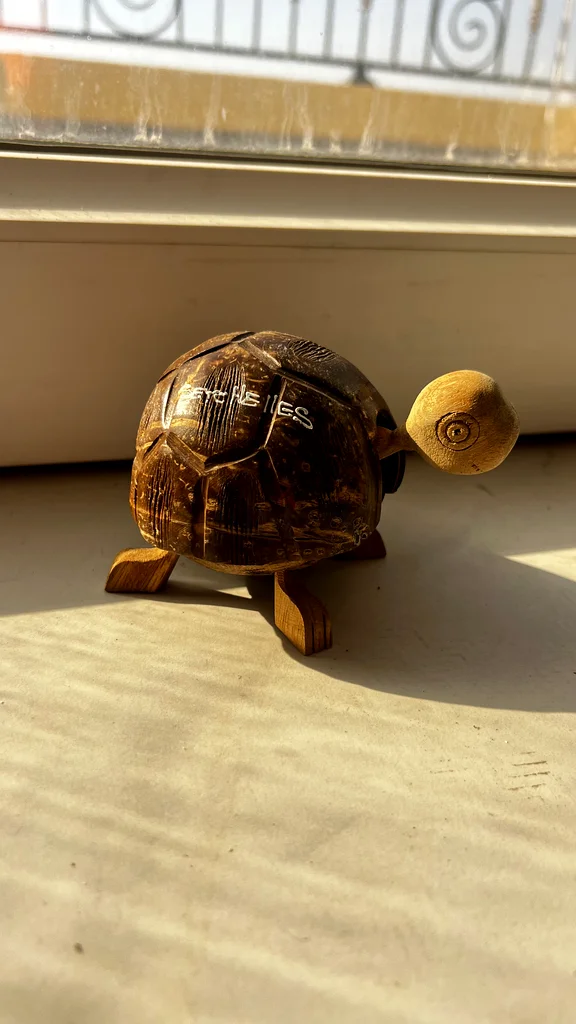 Unique Coconut Turtle Décor from Seychelles – Perfect for Organic Home Style63222339306371113