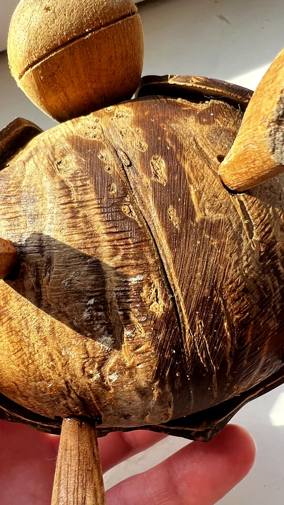 Unique Coconut Turtle Décor from Seychelles – Perfect for Organic Home Style63222339306371111