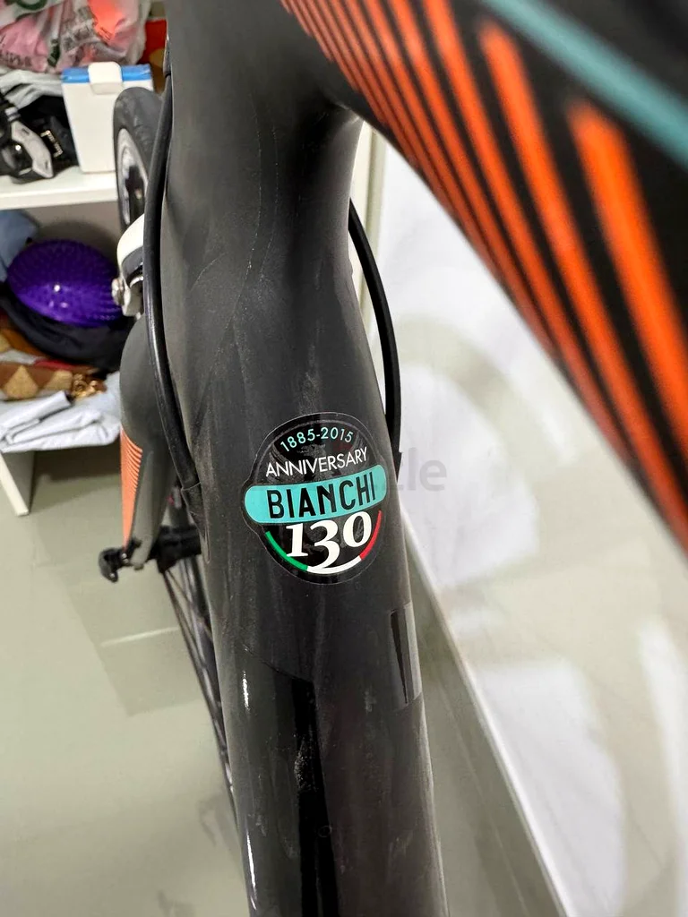 Bianchi Intenso 10563247254246145111