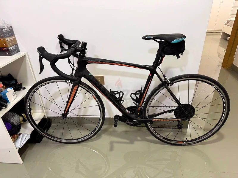 Bianchi Intenso 10563247254246145114