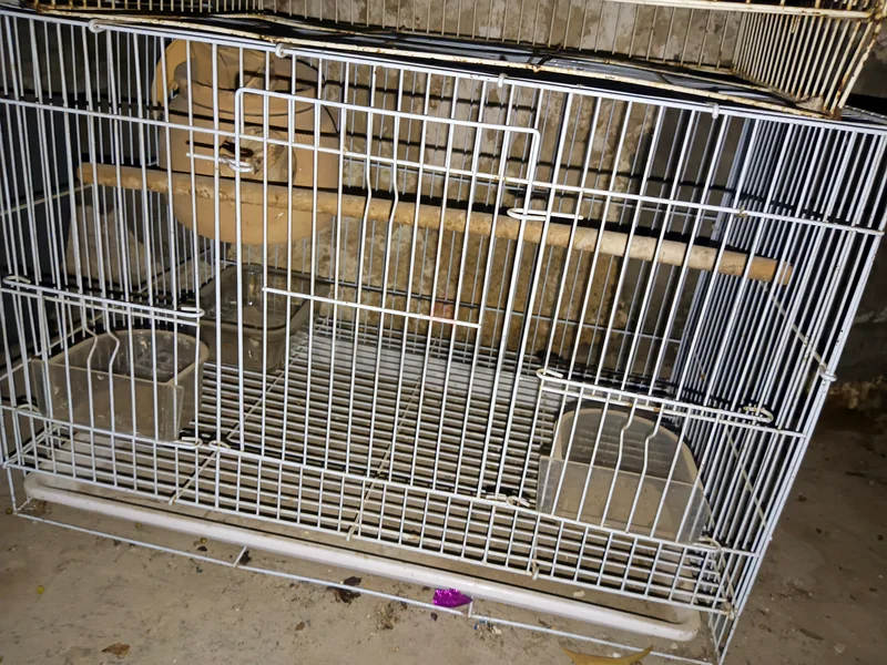 Cages for sale urgent cheap!!!63231685759235113
