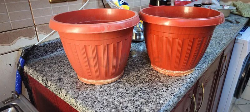 Plant pots632208283398411125