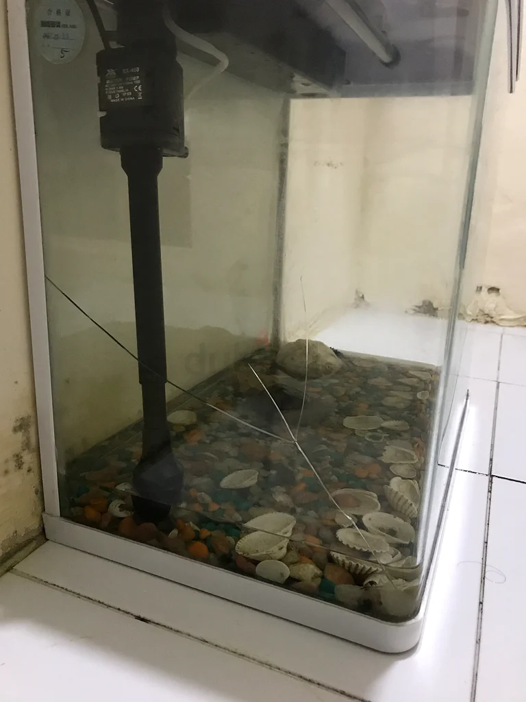 Stylish Fish Aquarium for Sale!63173510014978114
