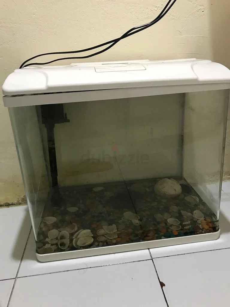Stylish Fish Aquarium for Sale!63173510014978112