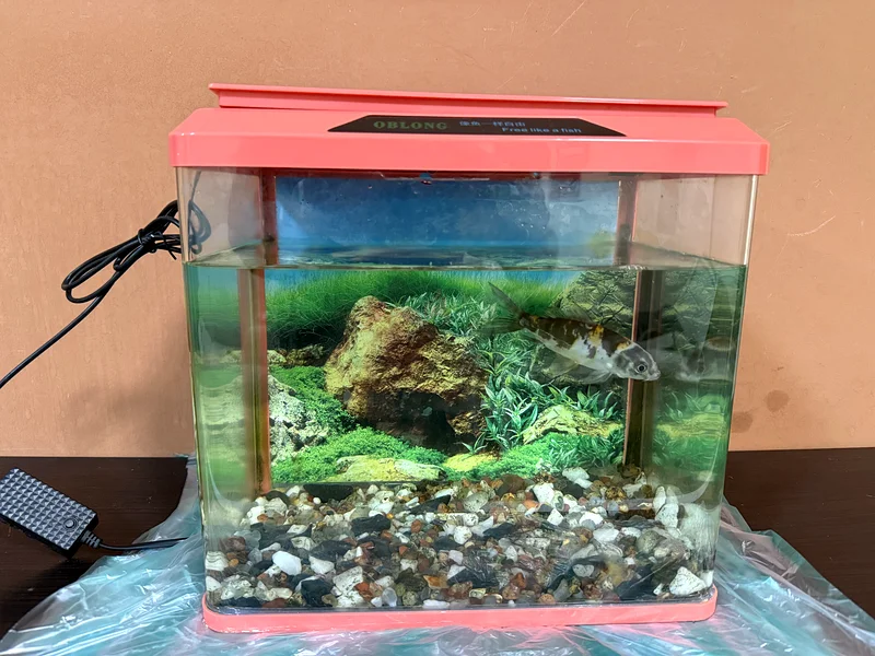 Stylish Aquarium with Decor - Perfect for Your Fish!63173510009729111