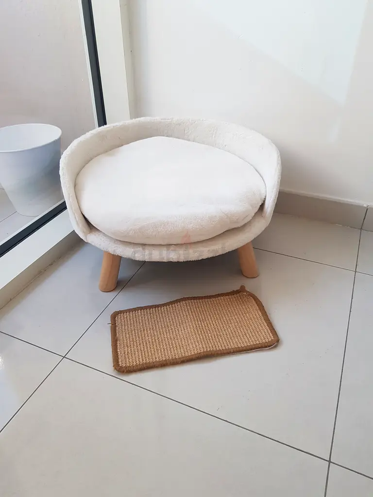 Cozy Cat Bed for Your Furry Friend