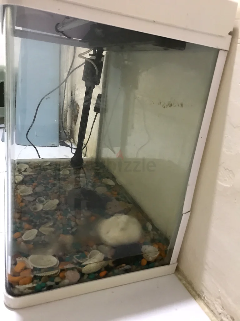 Stylish Fish Aquarium for Sale!63173510014978113