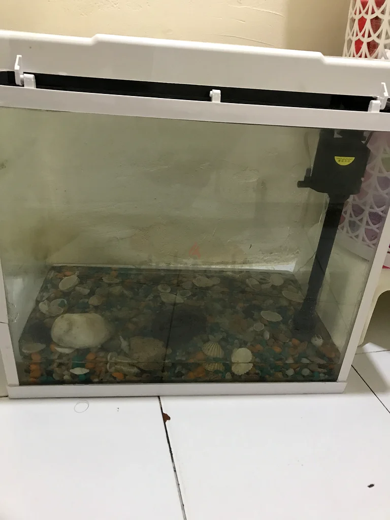 Stylish Fish Aquarium for Sale!63173510014978111