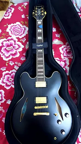 Emily Wolfe Epiphone Sheraton