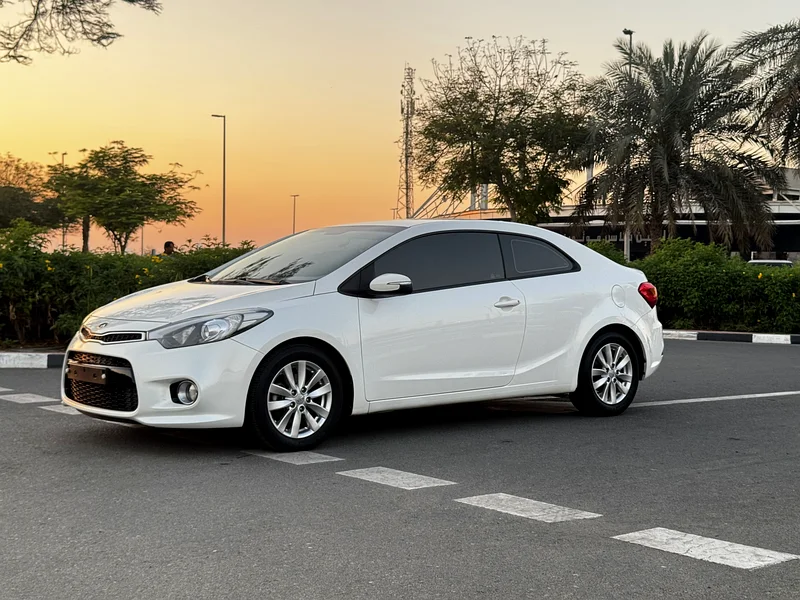 Kia 3 / 2014  Imported from Korea and Gcc specifications63224789149697118