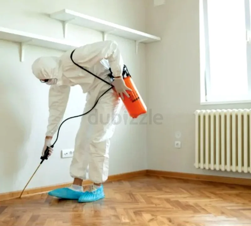 قل وداعًا للحشرات مع CLEANGO – خصم 20٪ بالإضافة إلى ضمان لمدة 3 أشهر في شا63219834354817114