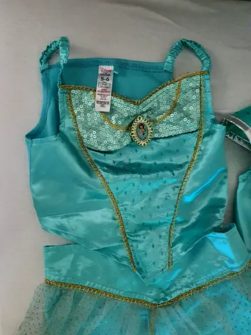 Princess Jasmine costume