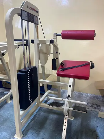 Life fitness Pro 1 Low Back Extension - AED 3000