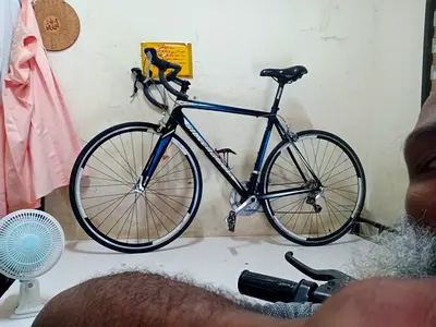 Silver back Stella 2 carbon fork