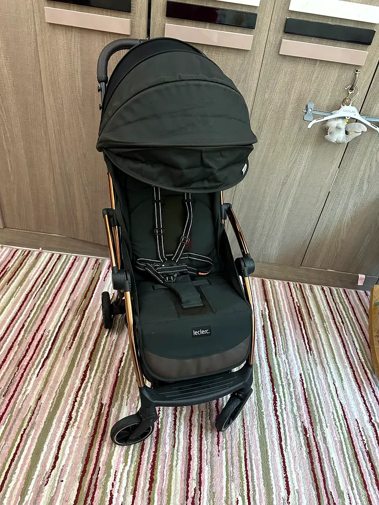 Leclerc influncer stroller63205356952066115