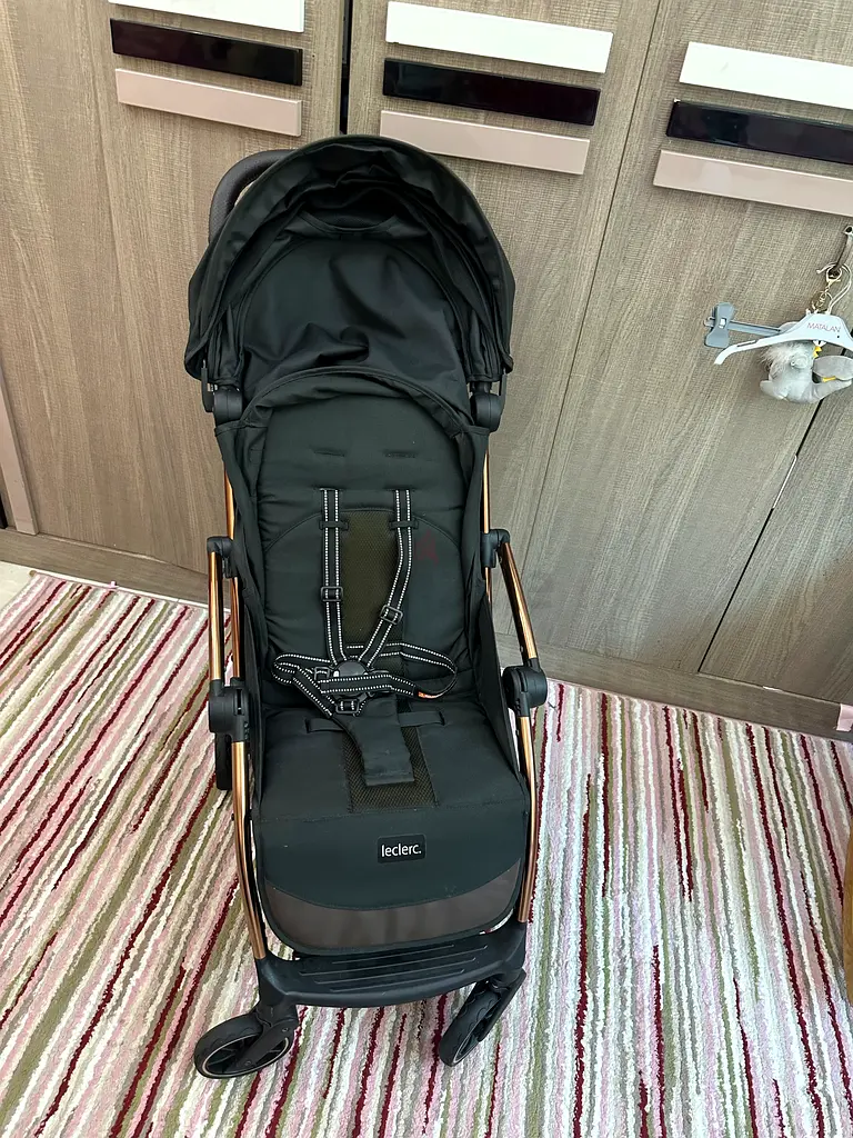 Leclerc influncer stroller63205356952066117