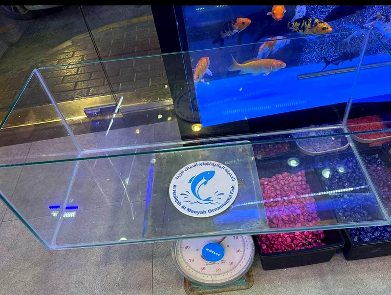 UAE Handmade Fish Tanks: Customized Glass Aquariums63232648754435111