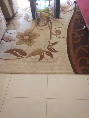 Elegant Floral Patterned Area Rug for Your Home