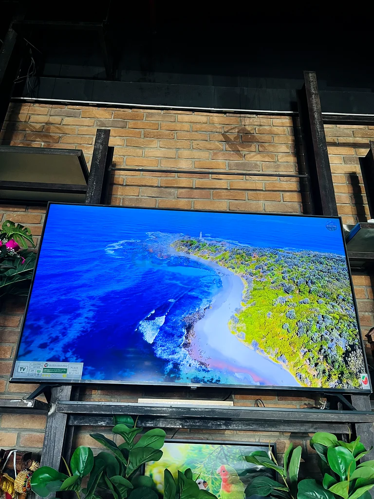 LG 65” SMART 4K UHD with LIVE CHANNELS63165719811970113
