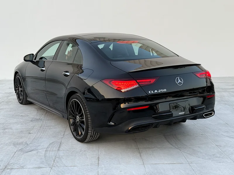 Top Clean CLA 25063164770482818113