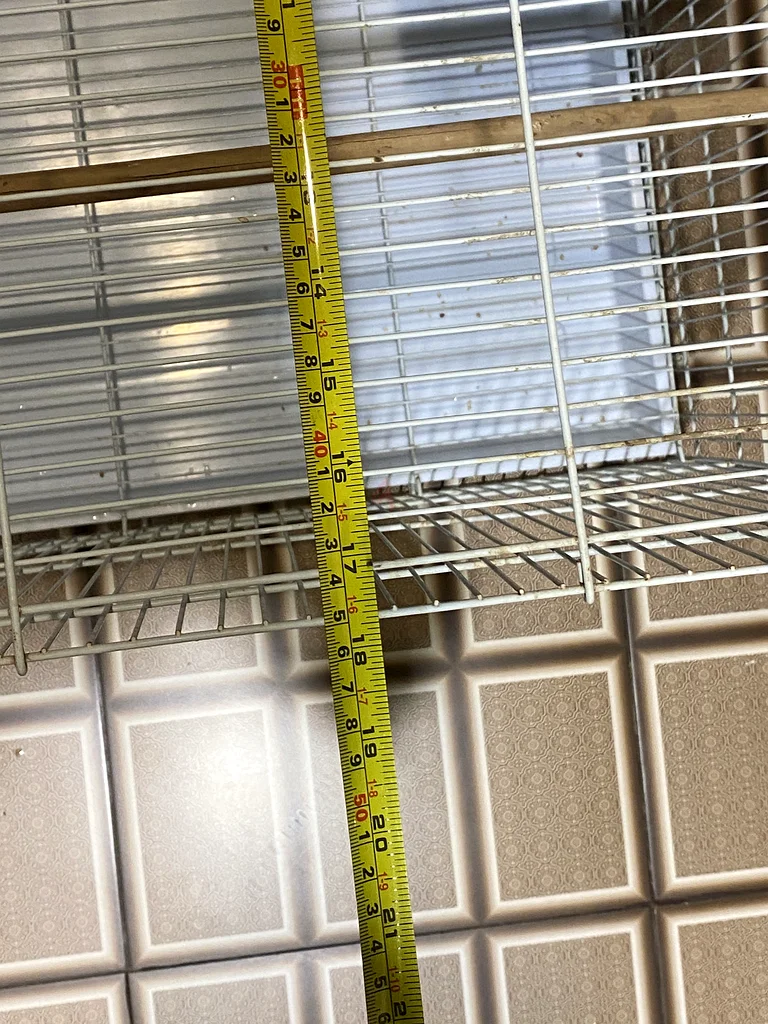 Bird cage63233131757699111