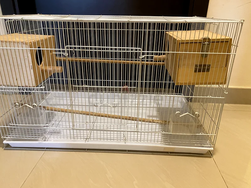 Bird cage63233131757699114