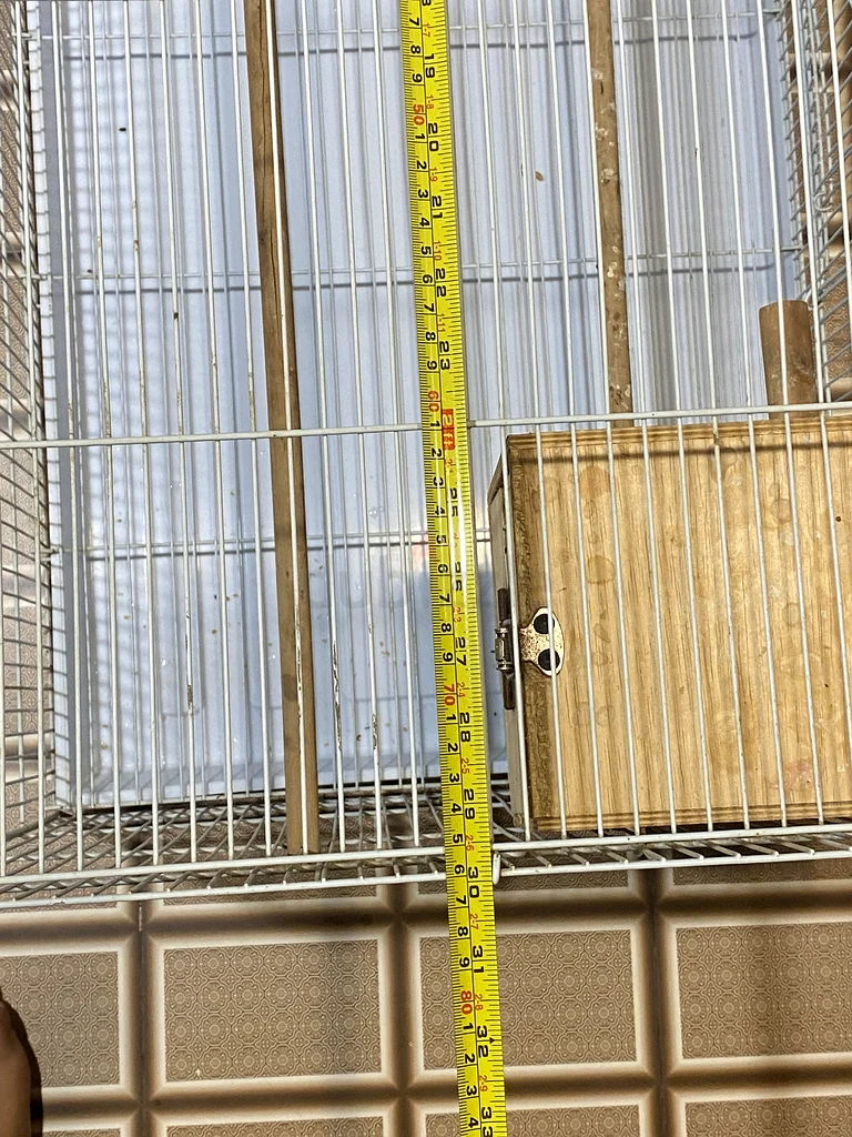 Bird cage632331317576991121