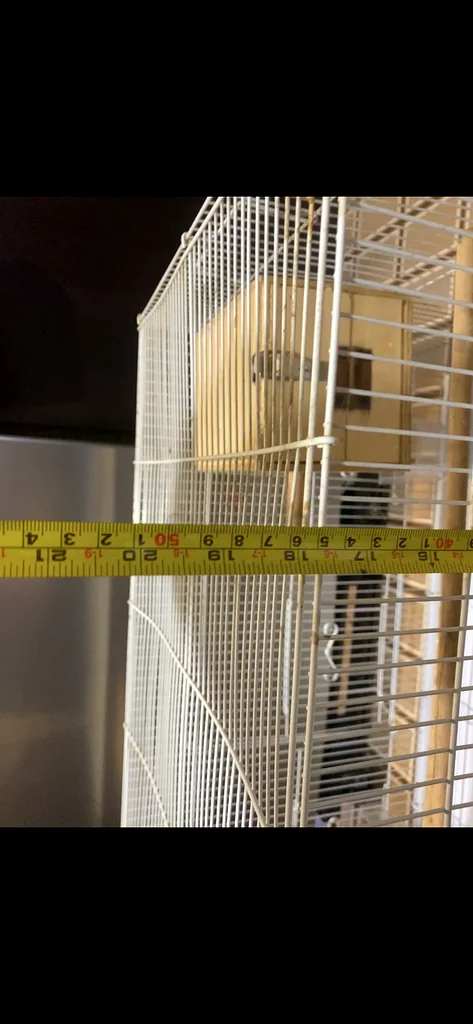 Bird cage63233131757699112