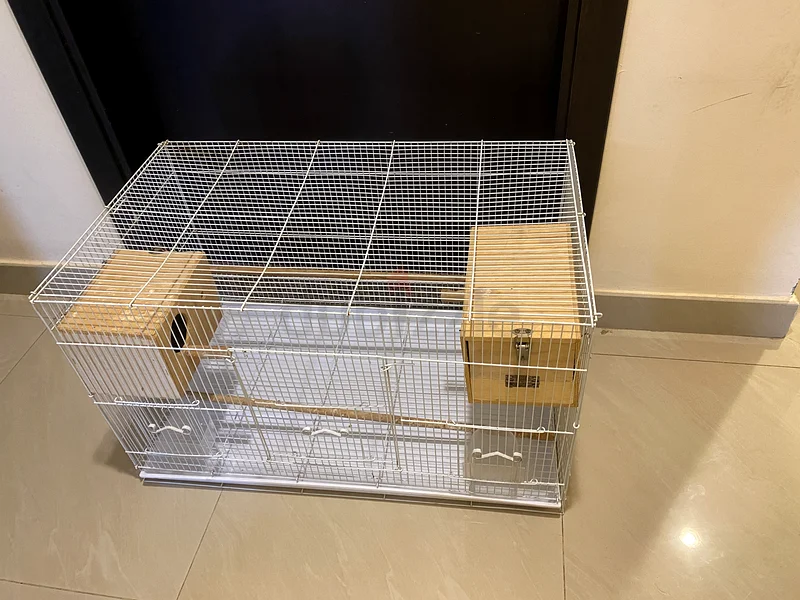 Bird cage63233131757699113