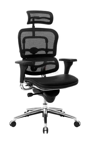 Ergonomic High-Back Office Chair with Adjustable Features