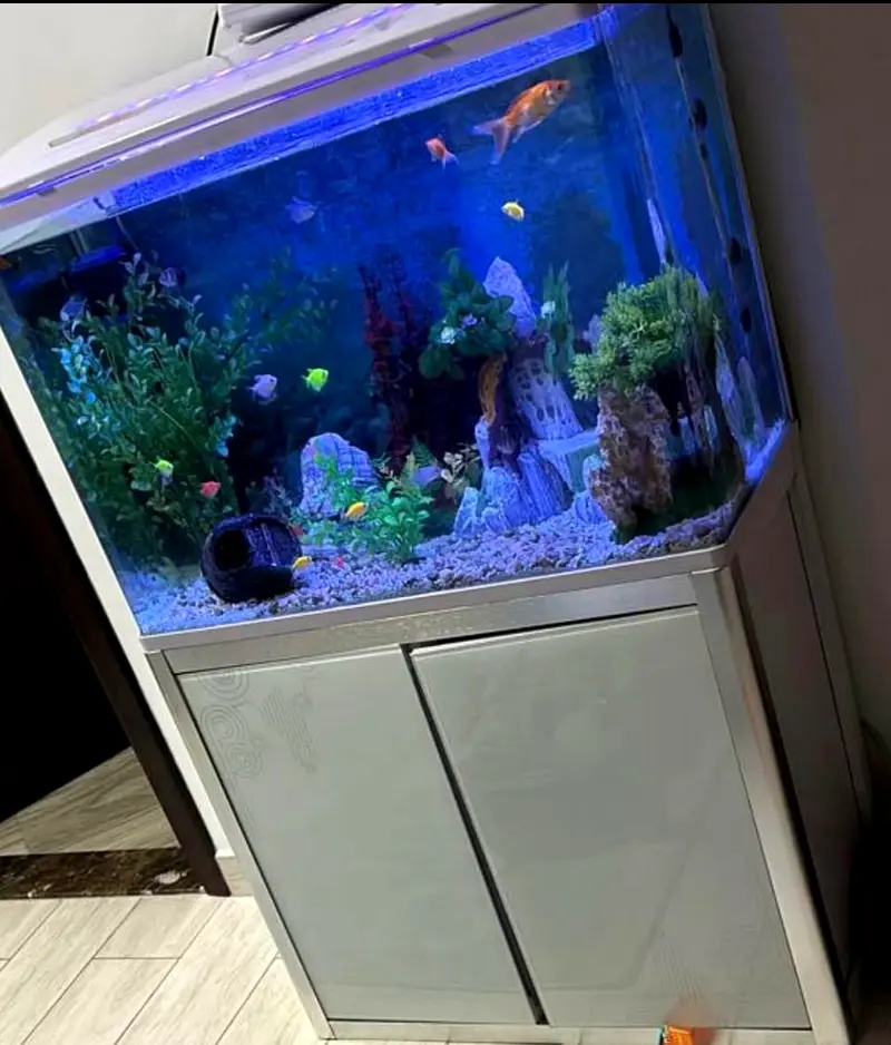 Fish tank