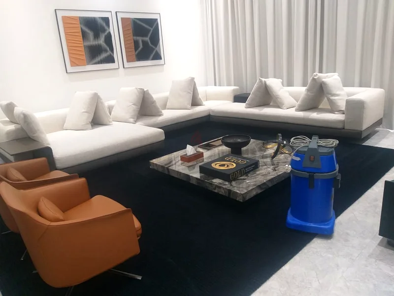 Sofa, carpet, curtains deep shampoo cleaning631842361369631115