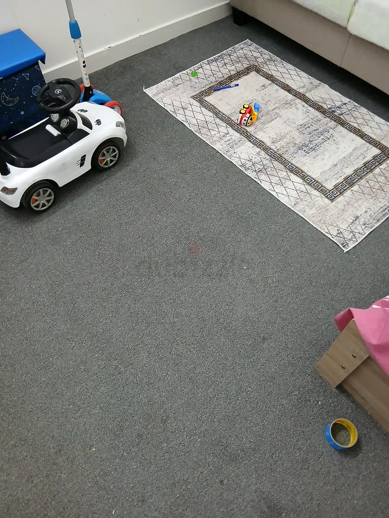 Floor Clean (Carpet Grey Color)63211419924738111