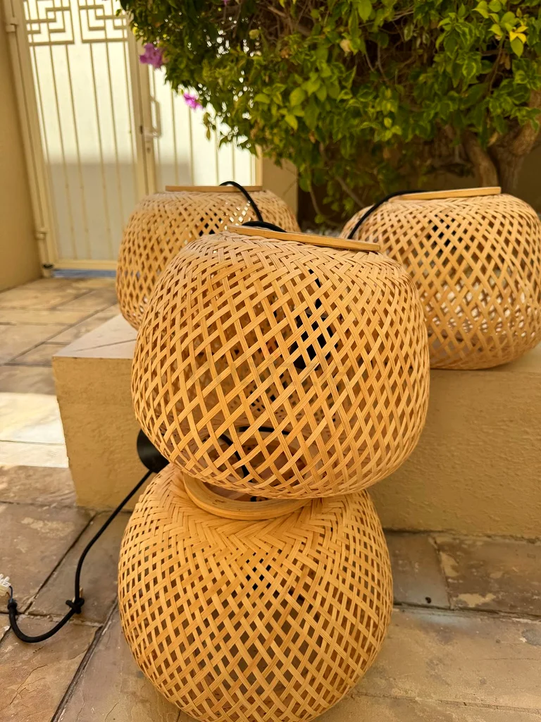 جيسك باندنت سيغفارد الخيزران x463219822184321111