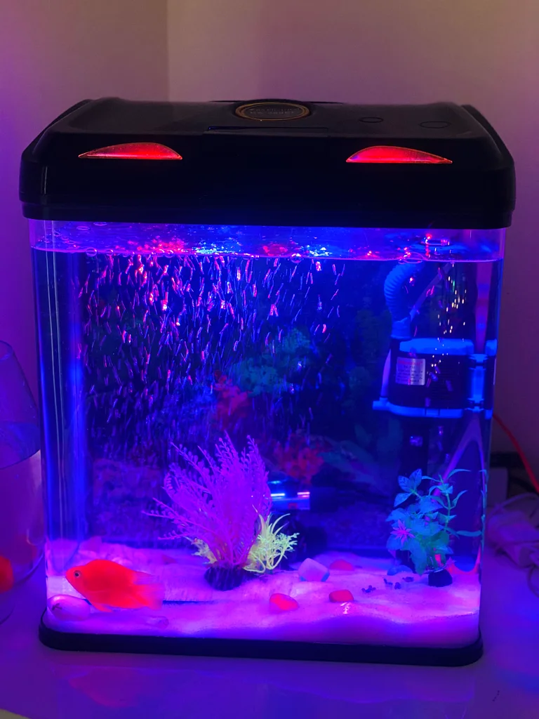 Aquarium63232650110339110