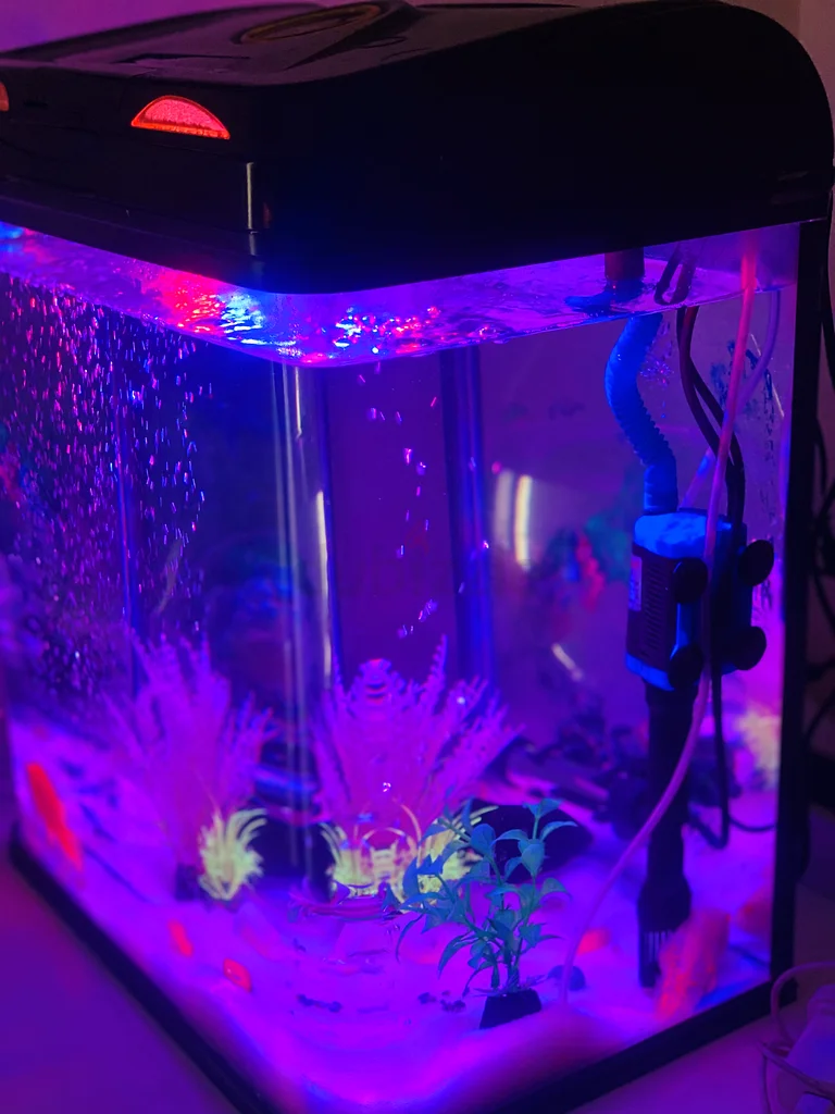 Aquarium63232650110339111