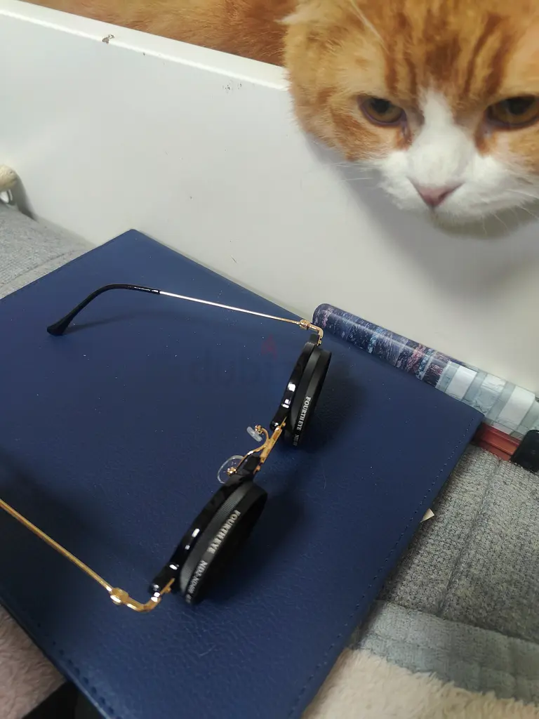Stylish Adjustable Sunglasses with Chic Case for Sale!
