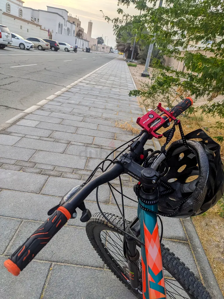 Bicycle for sale