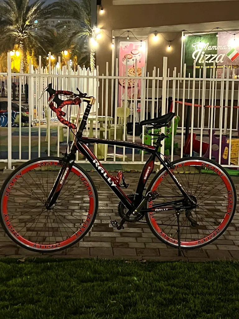 Rally Sports Bicycle - Adventure Awaits!
