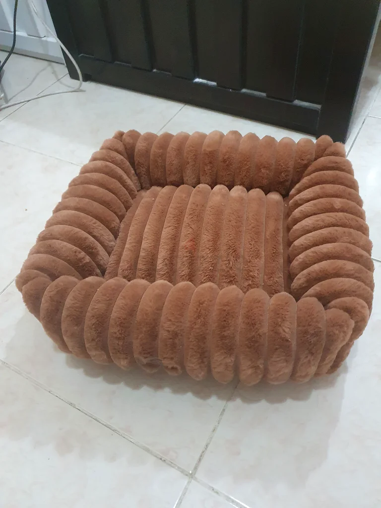 سرير القطط63172684255618111