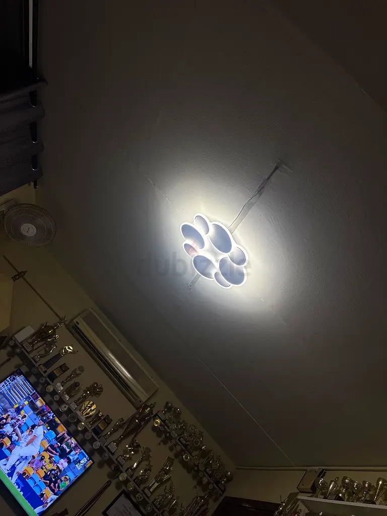 Designer lights63218811331458111