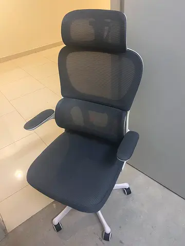 Office mesh chair with headrest and lumbar support