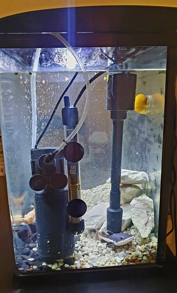 Aquarium with all Accessories and fish63233131380737111