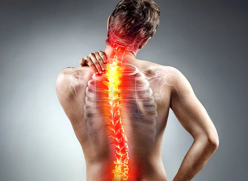 Physical therapy63221351615105111