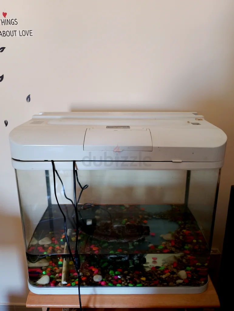 Aquarium63233131399683110