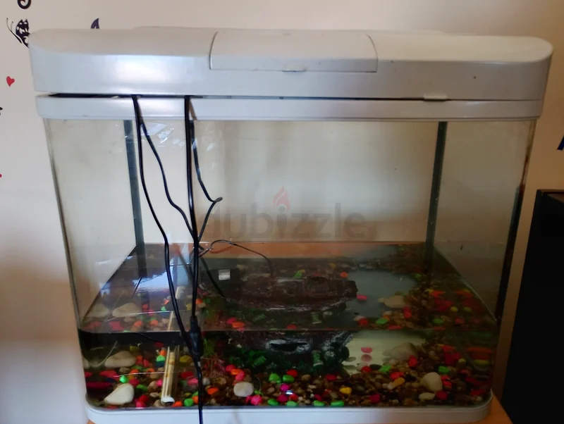 Aquarium63233131399683111
